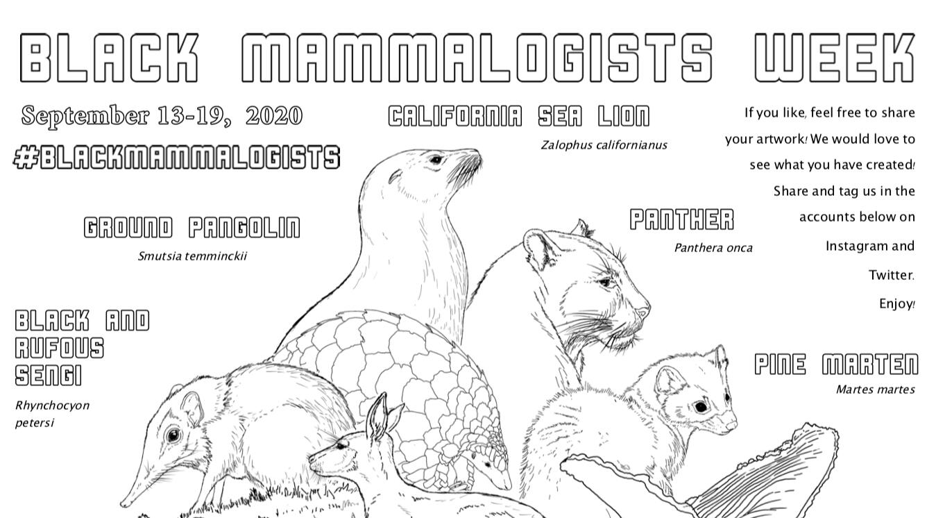 Sunday kickoff coloring page